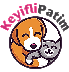 Keyifli Patim | Köpek Oteli | Köpek Pansiyonu