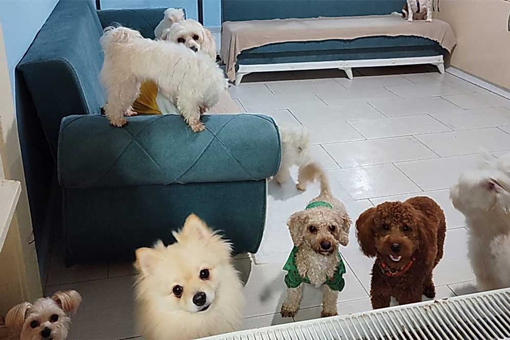 Keyifli Patim'de Genç Bir Nefes: Bilge Sağol Artık Aile Markasının Merkezinde